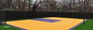 Custom Vibrant Half-Court Basketball Court