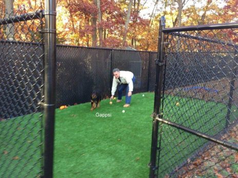 Dog-run-built-with-synthetic-turf-in-smithtown-NY