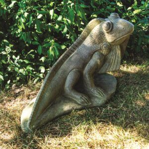 Sun-kissed Iguana 2904