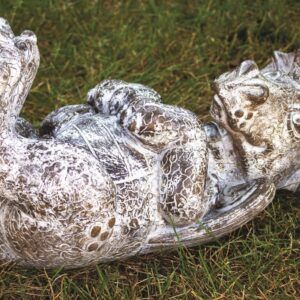 Tanner, the Ticklish Dragon 1823