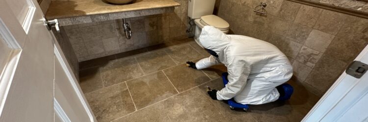 Coloring bathroom tiles grout joints