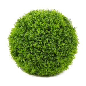 CYPRUS TOPIARY BALL