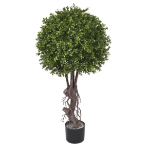 SMALL HEDYOTIS SINGLE BALL TOPIARY