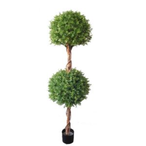 BOXWOOD TOPIARY