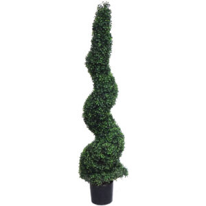 BOXWOOD TREE SPIRAL TOPIARY