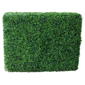 BOXWOOD RECTANGLE HEDGE