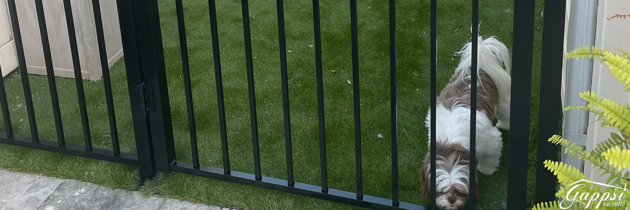 Upgrade-Your-Outdoors-with-a-Patio-and-Pool-Renovation5