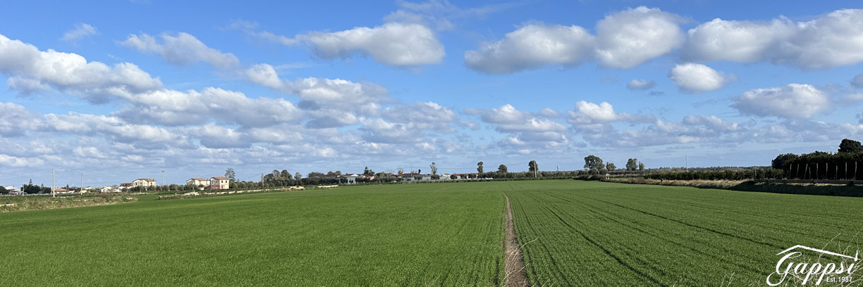 outdoor-backyard-ovens-for-making-bread-and-food-hobby2