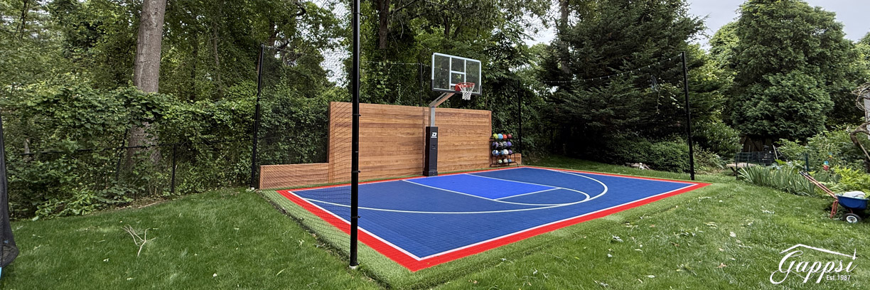 Custom basketball court with Dominator basketball hoop