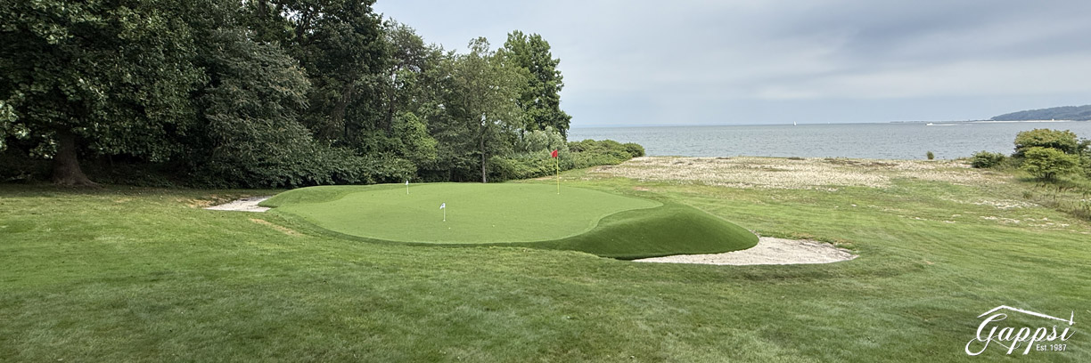 synthetic putting greens is their low maintenance requirements