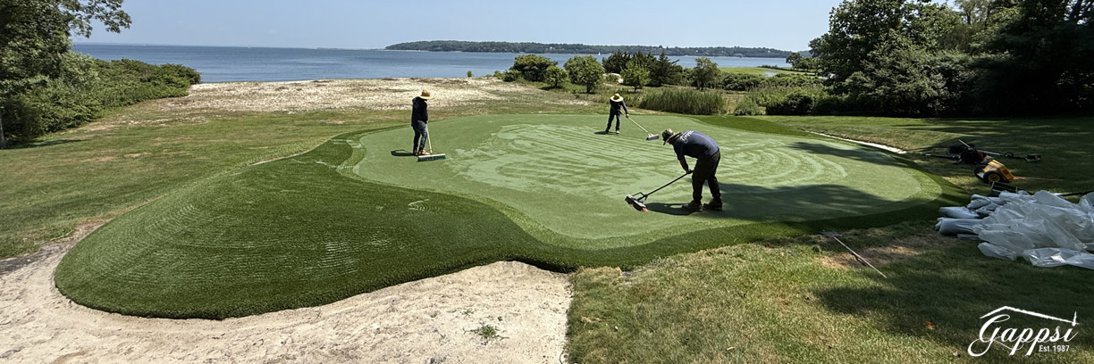 Expert Turf Selection for Superior Playability