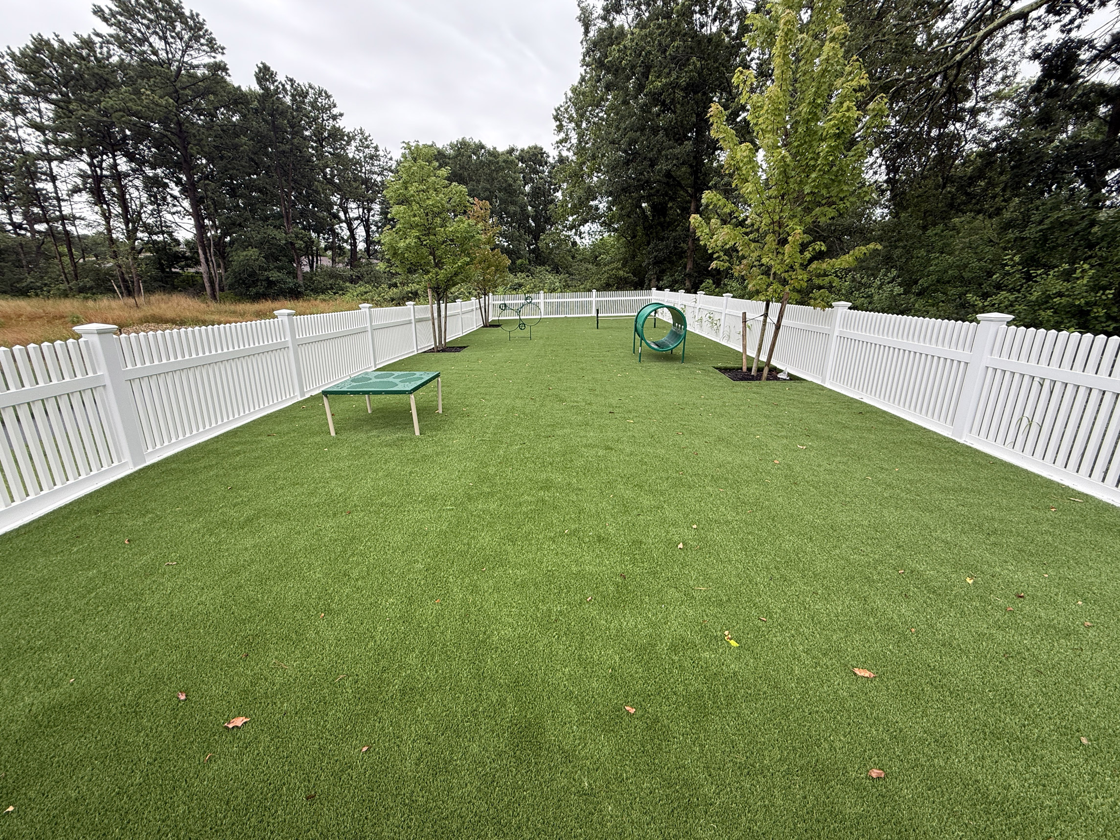 Outdoor-Commercial-Dog-Run-Installation-in-Patchogue-NY-with-Pet-Friendly-Synthetic-Turf